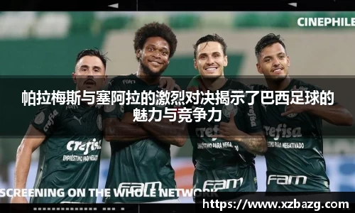 mk体育官网入口